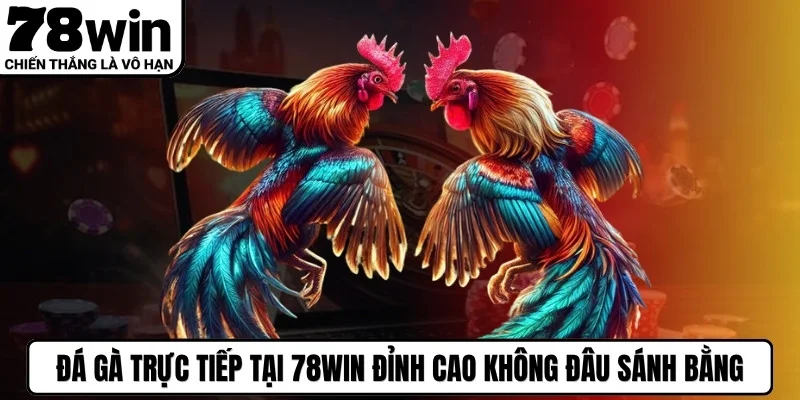 Đá gà trực tiếp tại sân chơi 78WIN đỉnh cao không đâu sánh bằng