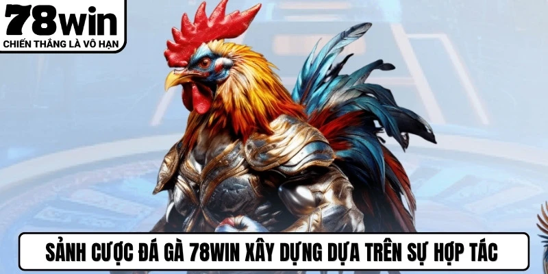 Sảnh cược đá gà 78WIN xây dựng dựa trên sự hợp tác với bồ gà danh tiếng