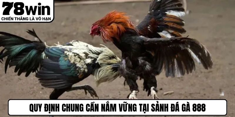 Quy định chung cần nắm vững tại sảnh đá gà 888