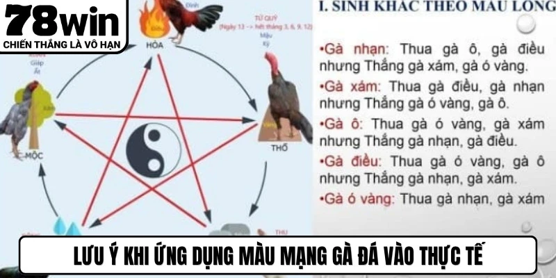 Lưu ý khi ứng dụng màu mạng gà đá vào thực tế