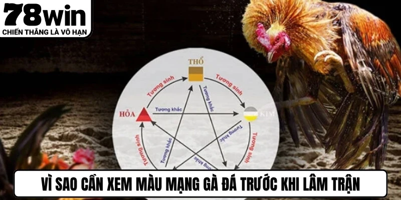 Màu Mạng Gà Đá