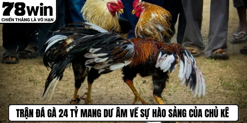 Trận đá gà 24 tỷ mang dư âm về sự hào sảng của các chủ kê vẫn còn mãi