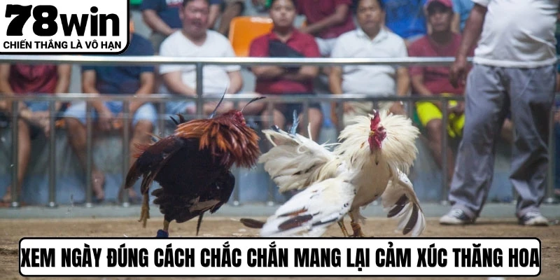 Việc xem ngày đúng cách chắc chắn sẽ mang lại những cảm xúc thăng hoa