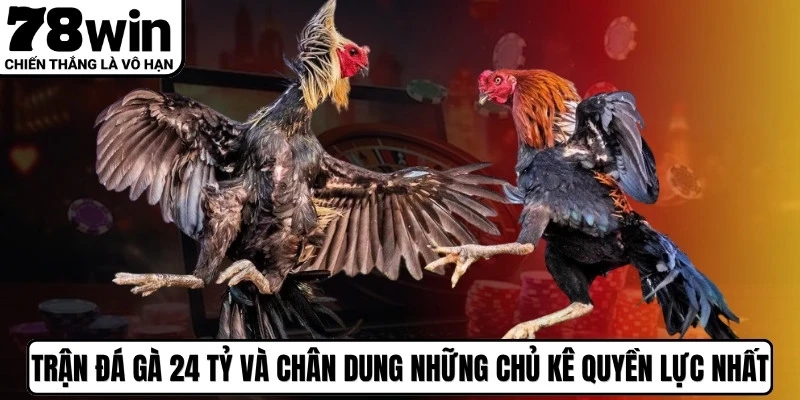 Trận Đá Gà 24 Tỷ Và Chân Dung Những Chủ Kê Quyền Lực Nhất